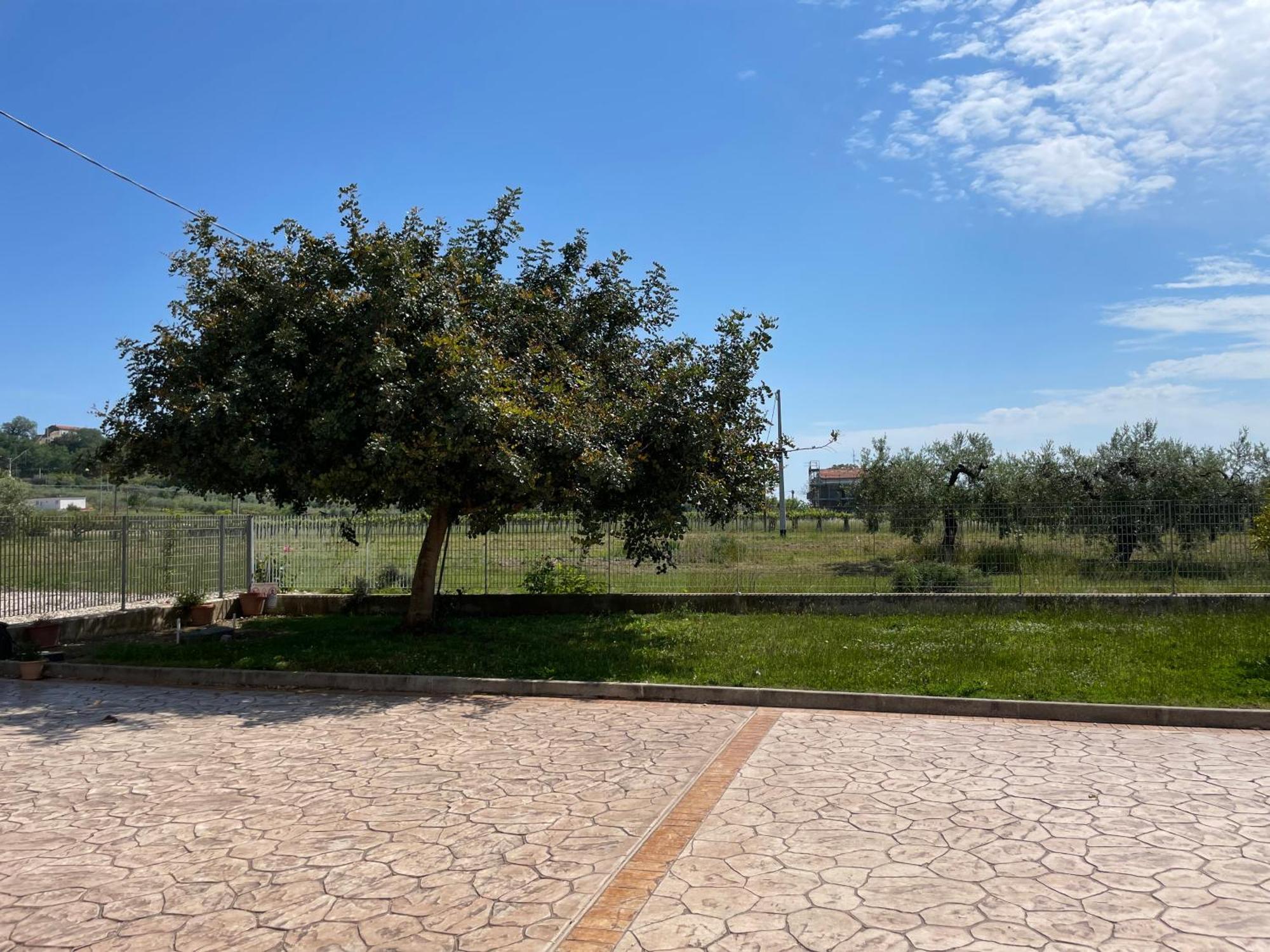 La Casa Di Michela Villa Torino di Sangro Luaran gambar